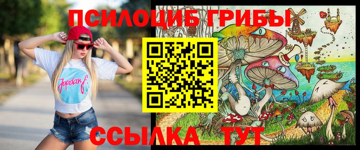 Псилоцибиновые грибы Cubensis Будённовск